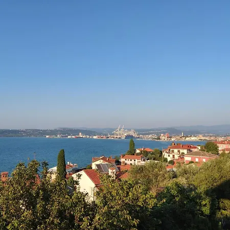 Rea * Koper